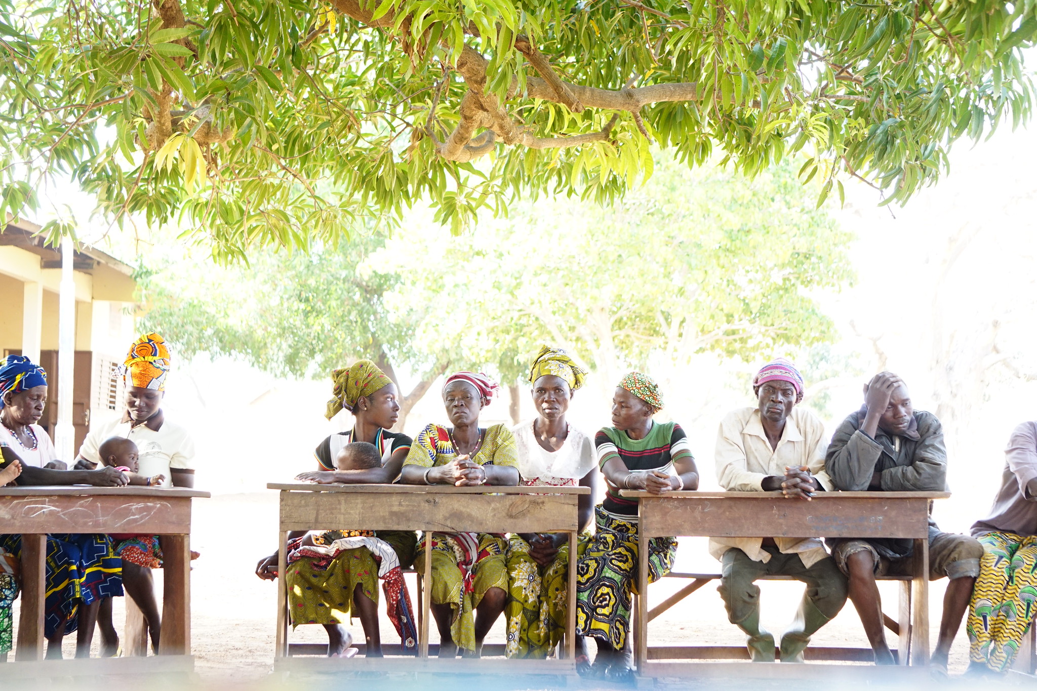 Renewed Global Violence Puts Pressure on Climate Adaptation