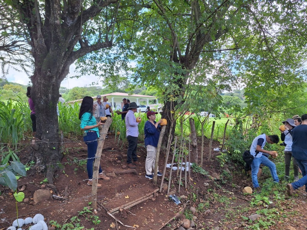 Giving Nature Breathing Room Builds Climate Resilience